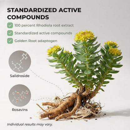 Rhodiola Rosea Supplement – Golden Root Adaptogen Capsules - Rhodiola Rosea Extract Powder Alternative with Salidroside for Stress Support - Energy, Focus & Performance